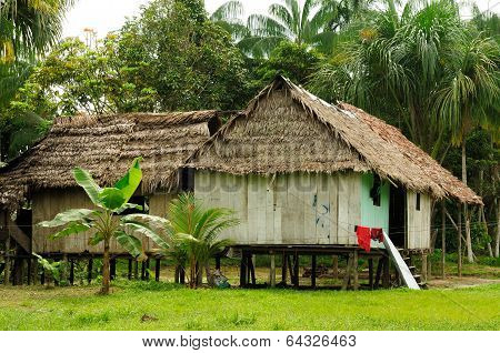 Amazon Indian Tribes In Brazil