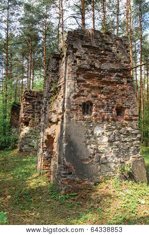 Remnants Of Old And Destroyed Buildings In Forest