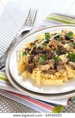 Spiral Pasta With Morel Mushrooms