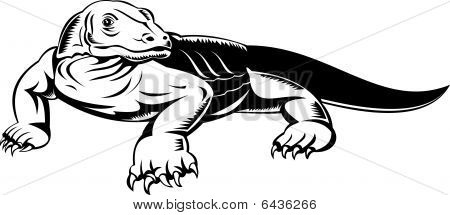 Komodo Dragon