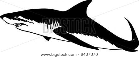 Shark.EPS