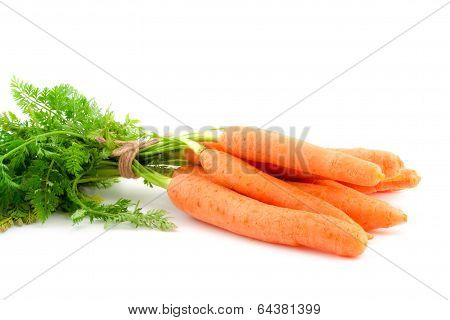 Bunch Of Fresh Baby Carrots On White Background.