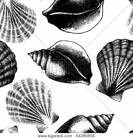 Hand drawn seamless pattern with sea shell