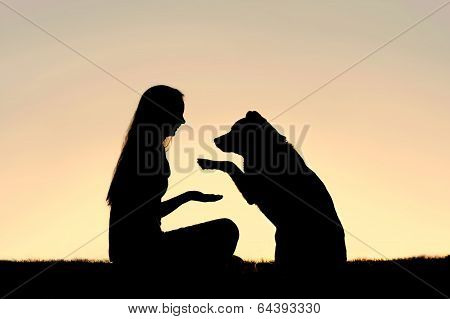 Woman And Her Pet Dog Outside Shaking Hands Silhouette