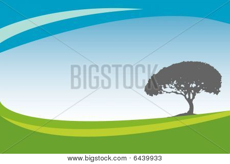 Ecologia bacground