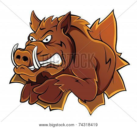 Wild Boar Head