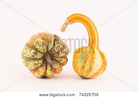Two Pumpkins