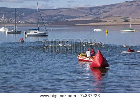 Triathlon Swimmers Watched Over By Inflatable Rescue Boat