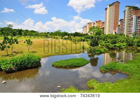Green pasture with a river at Bishan Park