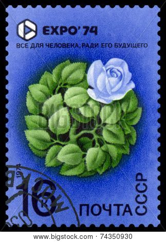 Vintage  Postage Stamp. Expo 74. Rose.