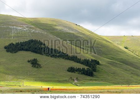 Piano Grande Di Castelluccio (italy)