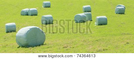 Bales Of Silage At The Green Field In Summer.