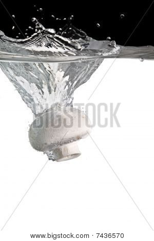 champignons dans l'eau