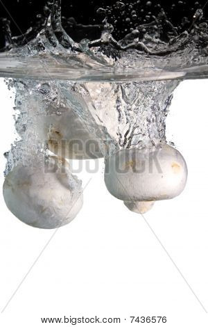 champignons dans l'eau