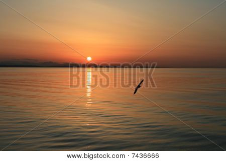 海上日落