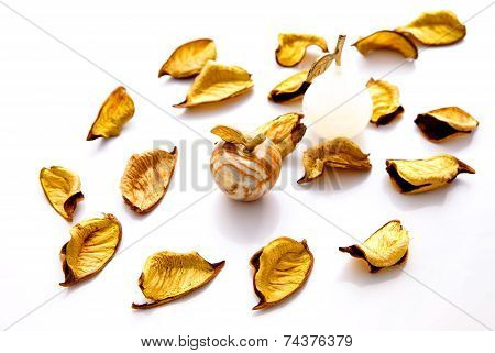 Still life decoration.Abstract background