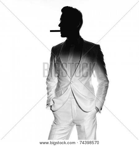 Concept photo of handsome stylish man with cigar