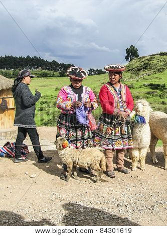 Indian Woman Pose With A Lama For Tourists In Cuzco
