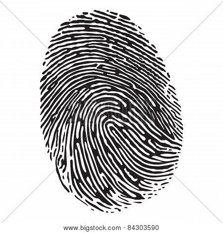 Fingerprint