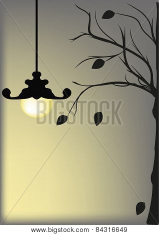 Lamp Agsinst A Night Sky