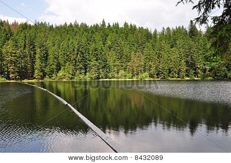 Jezero Arber v Bavorsku (grosser Arbersee)