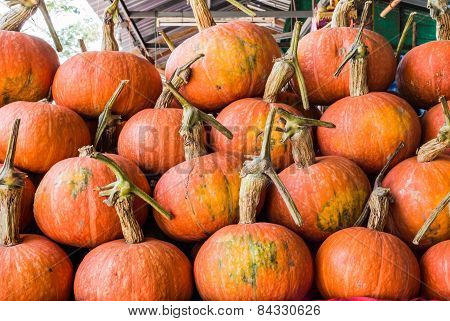 Pumpkins