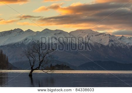Lake Wanaka
