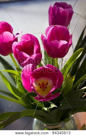 Tulip bouquet