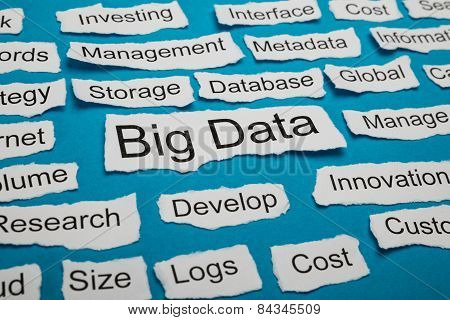 Word Big Data On Piece Of Torn Paper