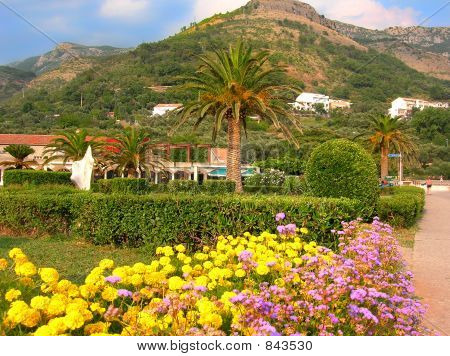 flowers and palms