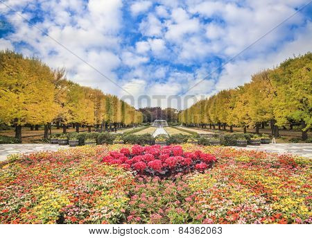 The Street Nearby Meiji Jingu Gaien That Has Beautiful Ginkgo Along The Lenght Of The Street