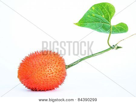Gac Fruit Isolated On White Background