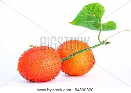 Gac Fruit Isolated On White Background
