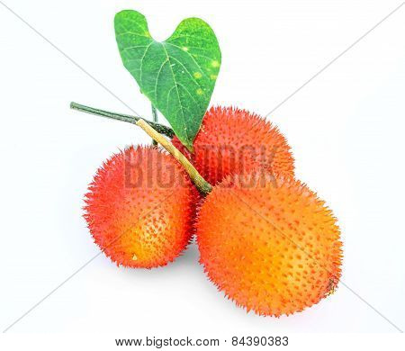 Gac Fruit Isolated On White Background