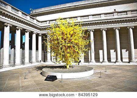 Sun At Dale Chihuly's  Glass Art Sculpture At The Legion Of Honor