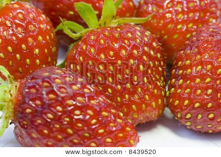 morangos