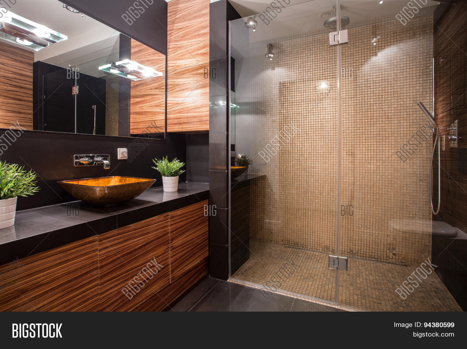 Bathroom Fancy Shower Image & Photo (Free Trial) Bigstock