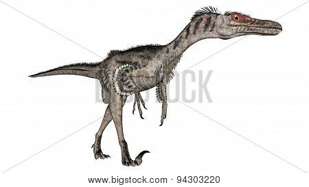 Velociraptor dinosaur - 3D render