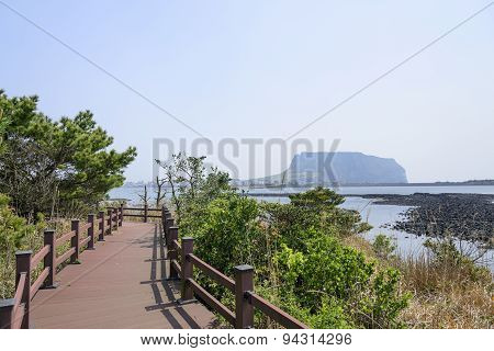 Landscape Of Jeju Olle Cours No. 2