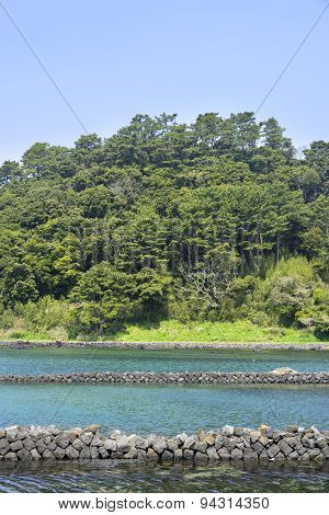 Landscape Of Jeju Olle Cours No. 2