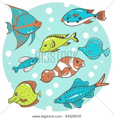 8 fish