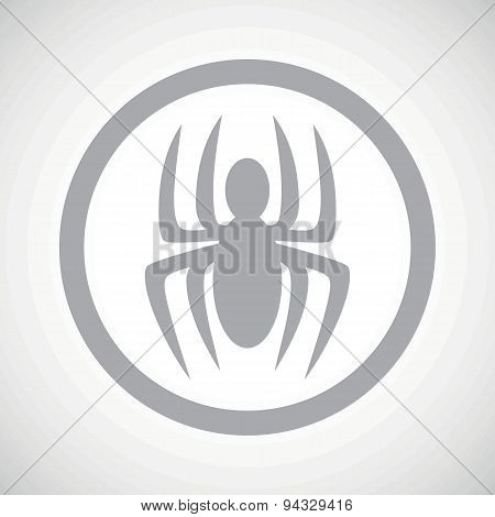 Grey spider sign icon
