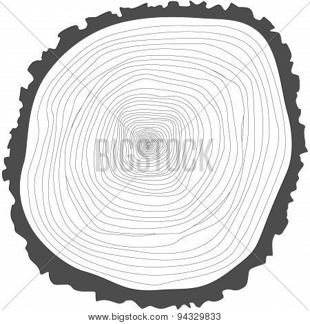 Tree Rings.