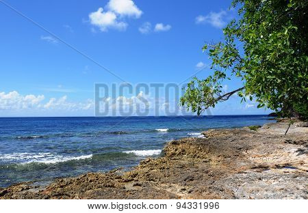 Seaside Of Anse Bertrand In Guadeloupe