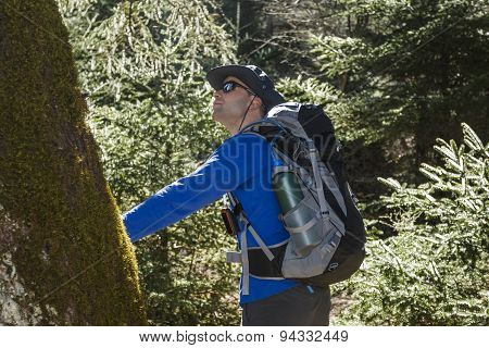 Man Looking At Tree In The Forest