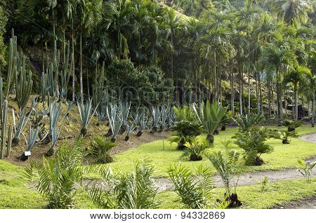 Picturesque Habitation Anse Latouche Garden In Martinique