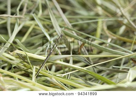 Needle in hay