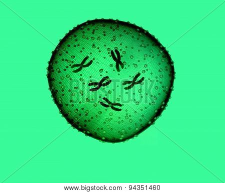 Microbe Green