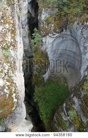 Water Erosion in Maligne Canyone