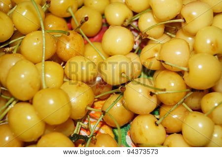 yellow sweet cherry